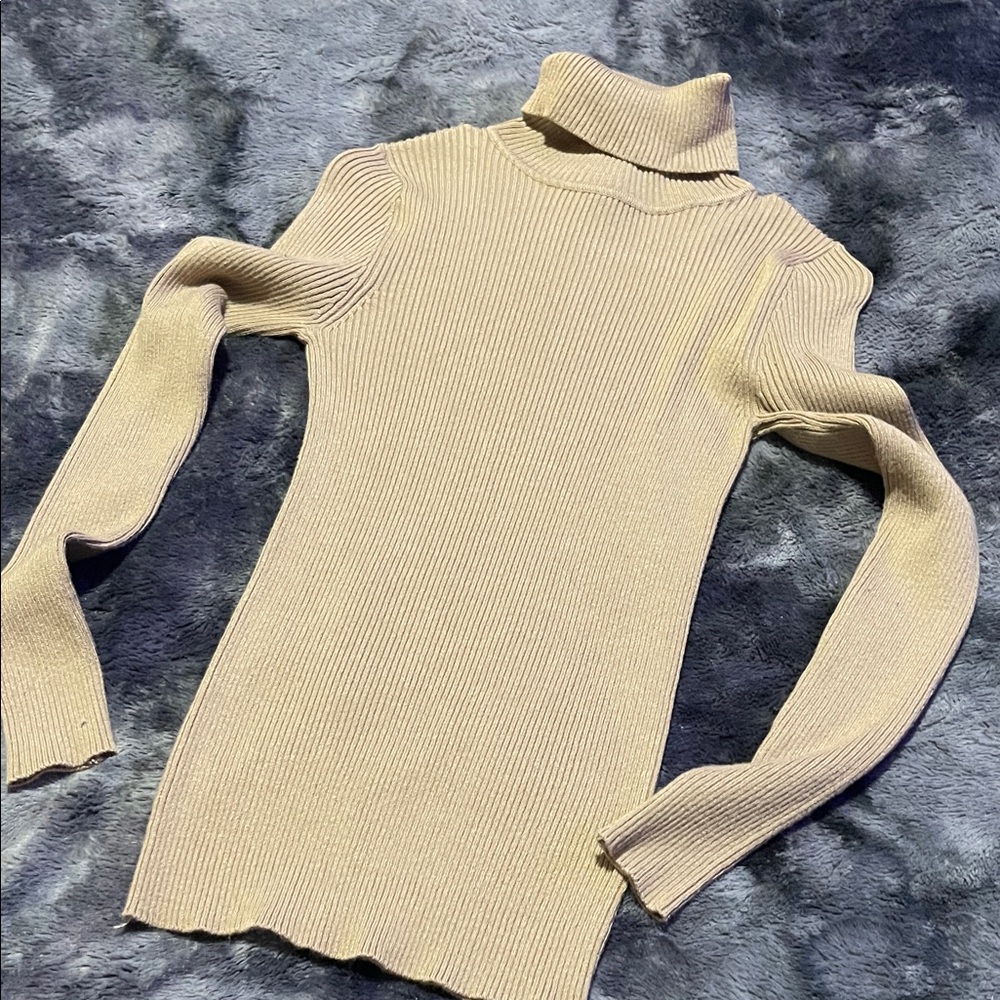 Ambiance Beige Ribbed Turtleneck Sweater